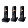 گوشی تلفن بی سیم پاناسونیک مدل KX-TG1613