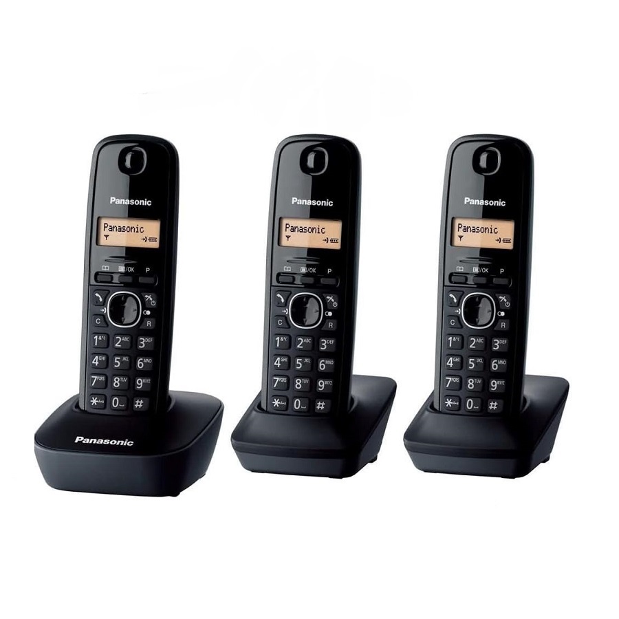 گوشی تلفن بی سیم پاناسونیک مدل KX-TG1613